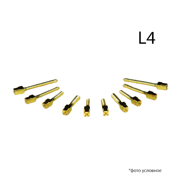 Штифты внутриканальные латунные ШВП L4 12шт Форма купить