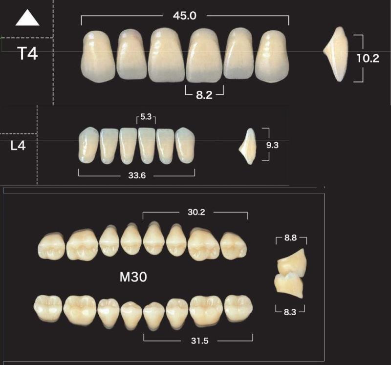 Зубы акриловые New Ace & Naperce цвет B3 фасон T4/M30 купить